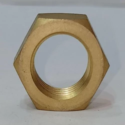 Check Brass Nuts