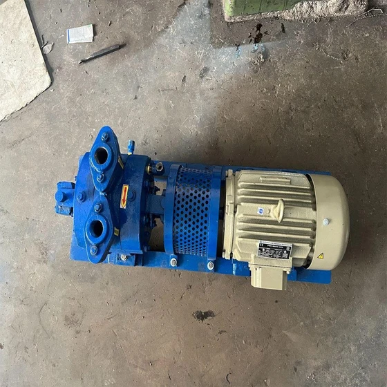 iron-vacuum-pump-1.webp