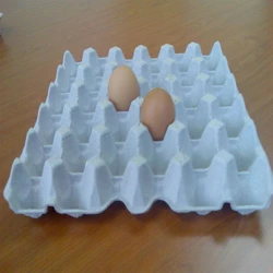Pulp Egg Trays 