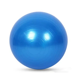 Gym Exercise Ball