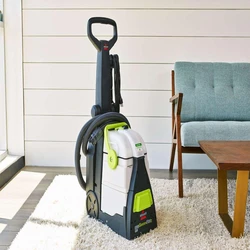 Professional Carpet Cleaner