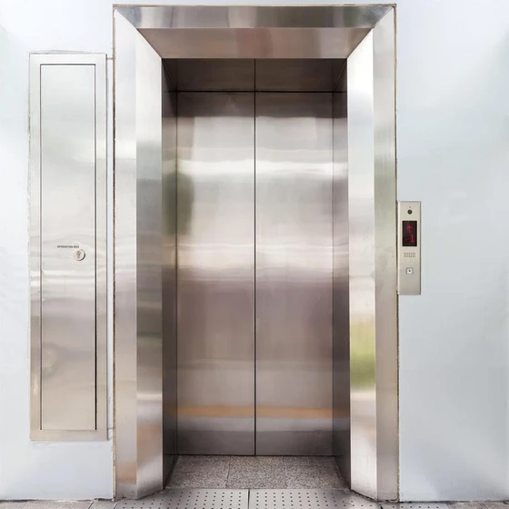 domestic-elevator-passenger-2.webp