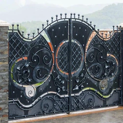 Decorative Iron Gate