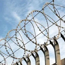 Concertina Security Coils