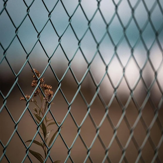 stainless-steel-fence-1.webp