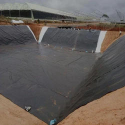 Geomembrane Industrial Sheet