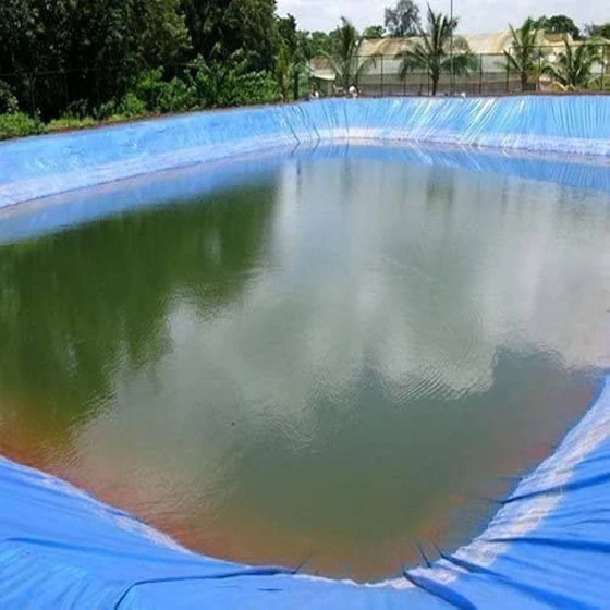 geomembrane-fish-pond-2.webp