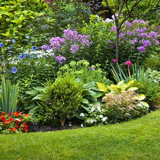 maintenance-garden-services-1.webp