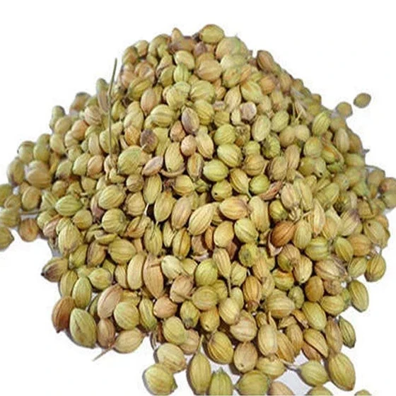 coriander-seed.webp