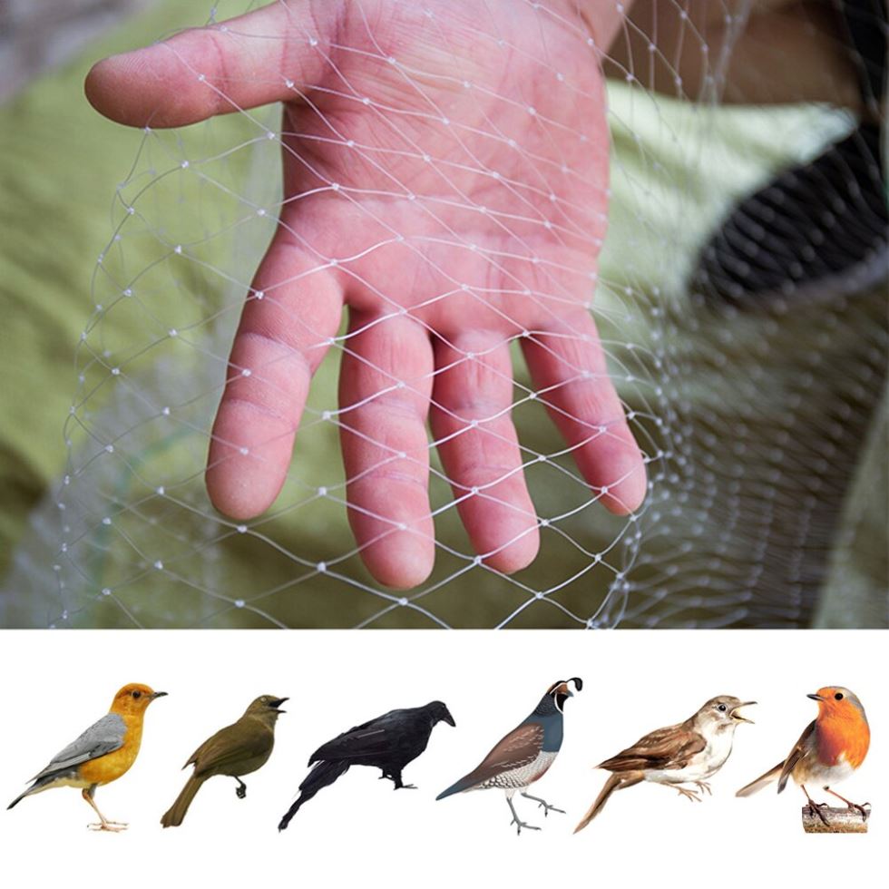 Nylon Bird Netting Specially Designed For Bird Protection Image