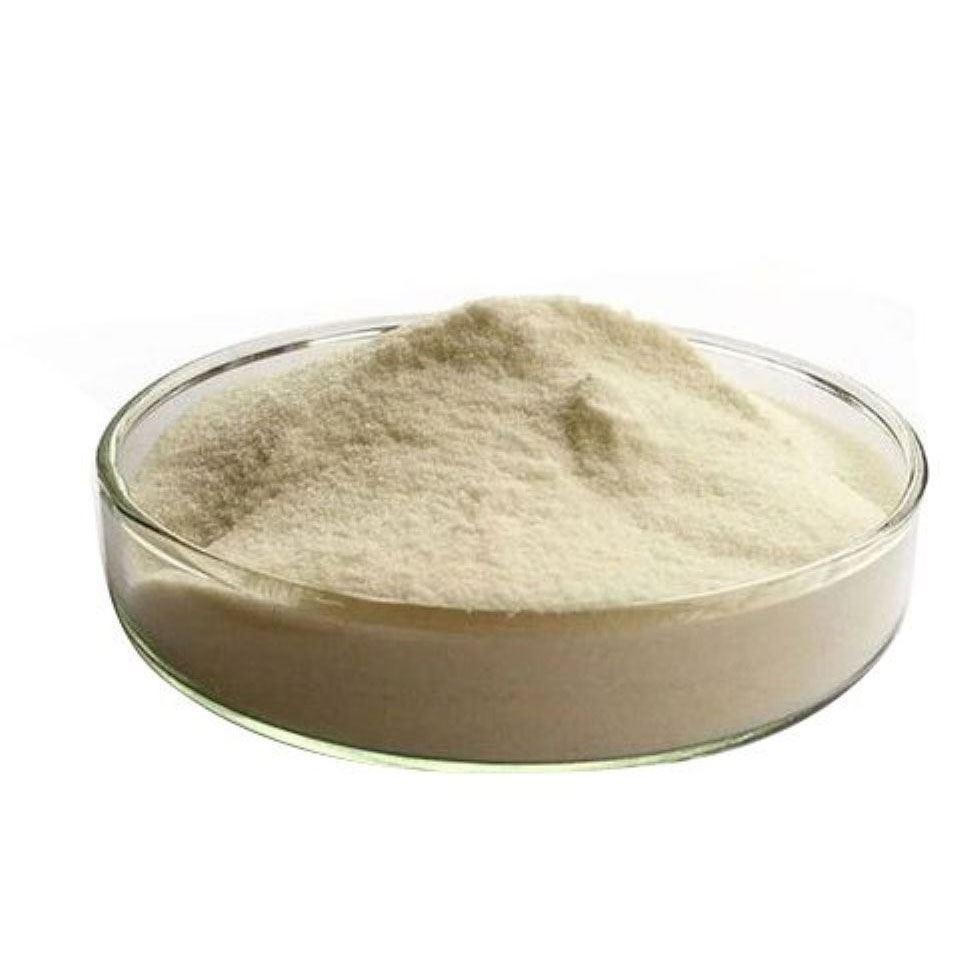 Acacia Gum Powder Image