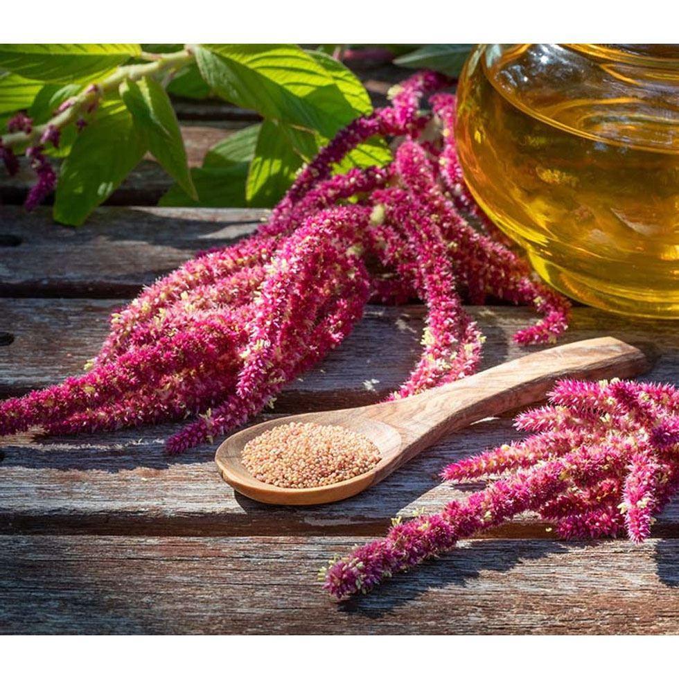 Amaranth Seeds Oil  Image