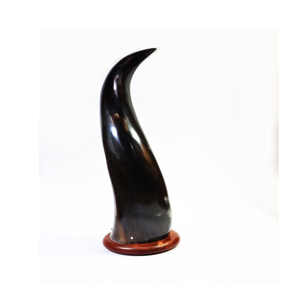 Animal Horn Crafts Image