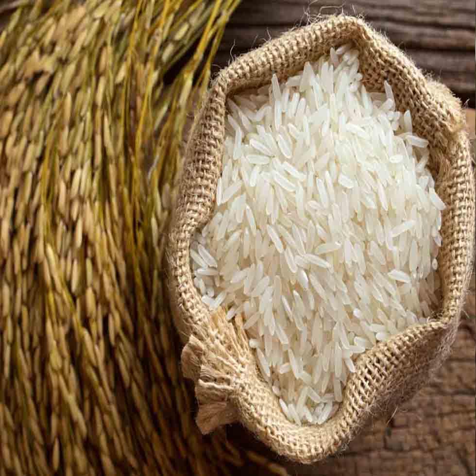 Traditional Organic Basmati Rice Types Exporter, Supplier Image