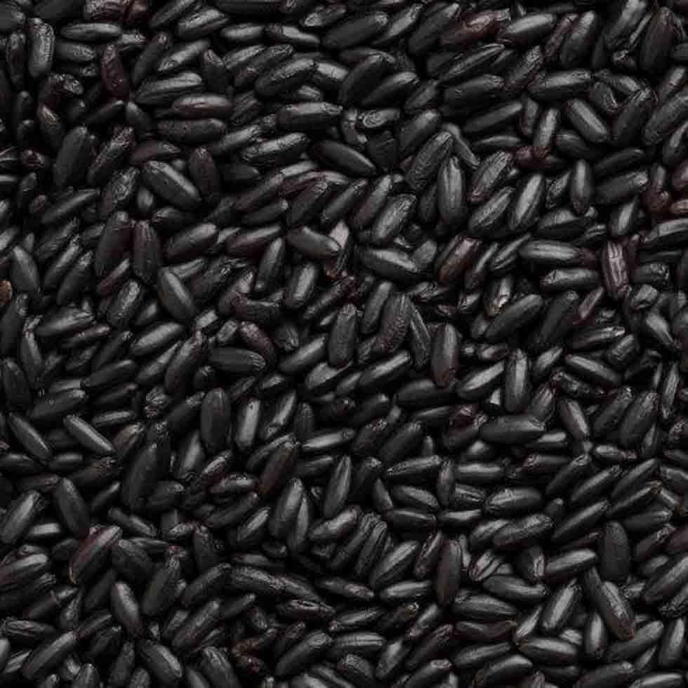 Top Class Indian Organic Black Rice Price Exporter, Supplier Image