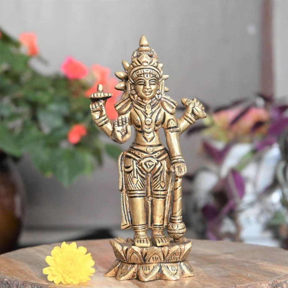 Brass Vishnu Statue Image