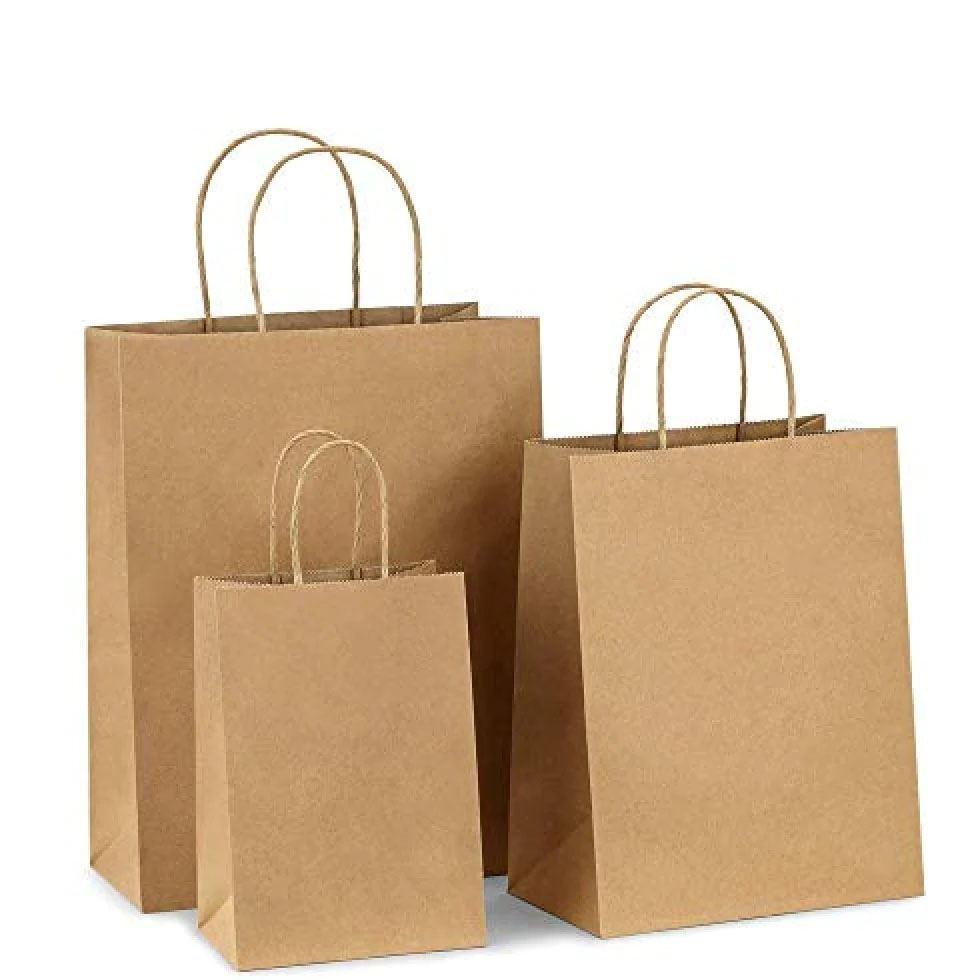 Brown Paper Carry Bag Image