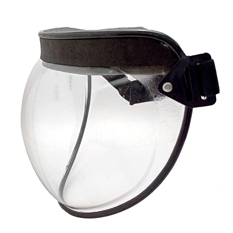 Bubble Face Shield Image