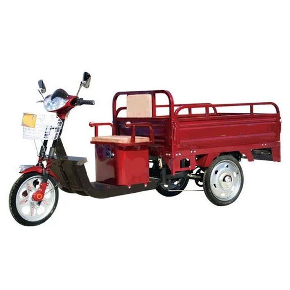 Cargo Tricycle Rickshaw Image