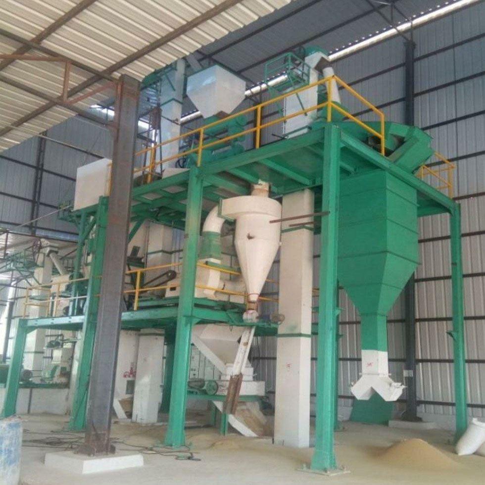 Cattle Feed Plant Image