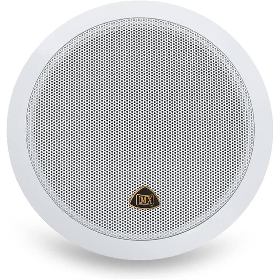 Ceiling Loudspeaker System Image