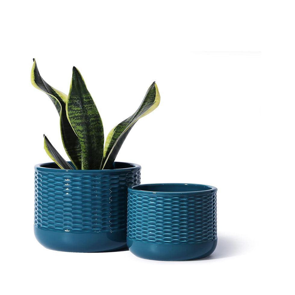 Ceramic plant pots Image