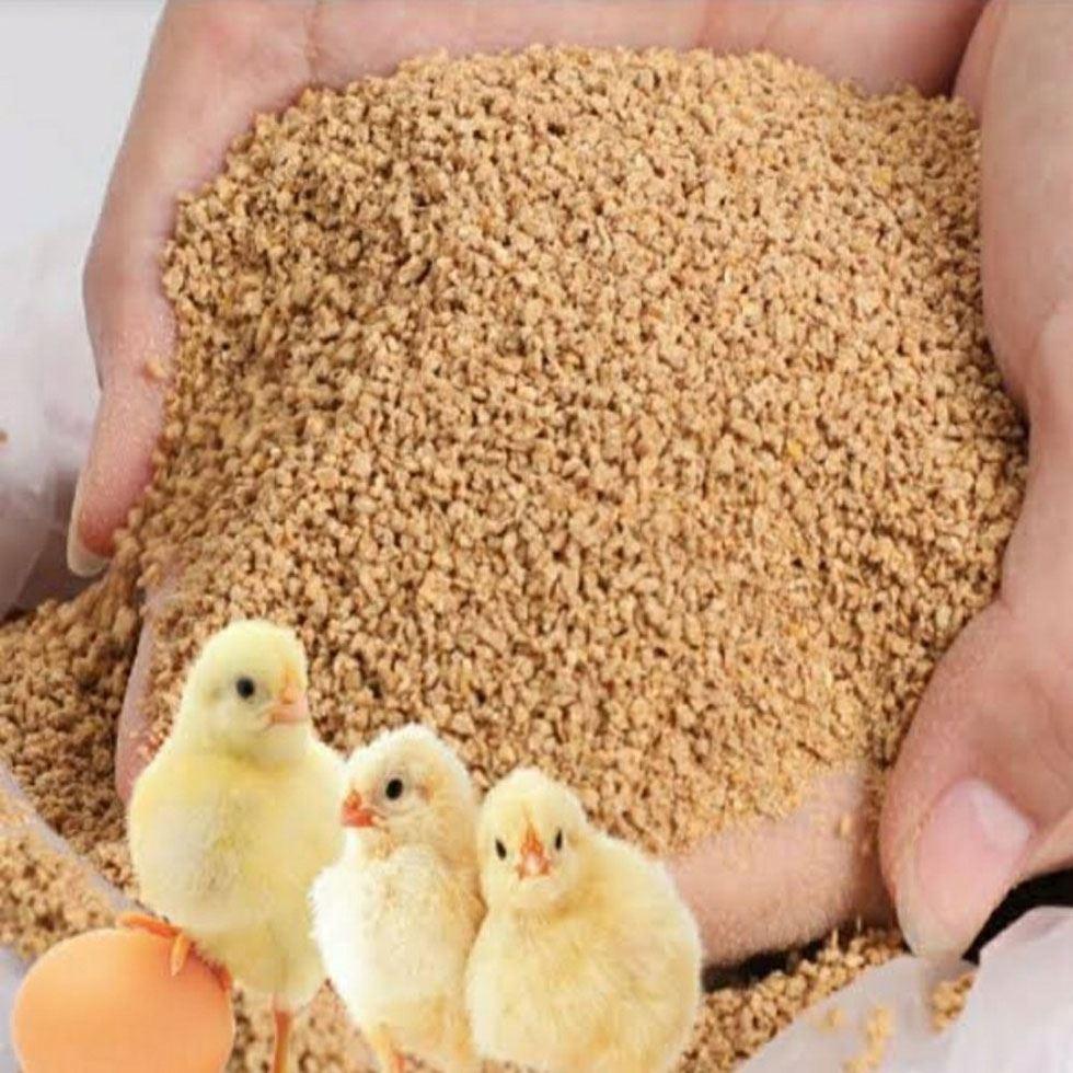 Chick Poultry Feed Image