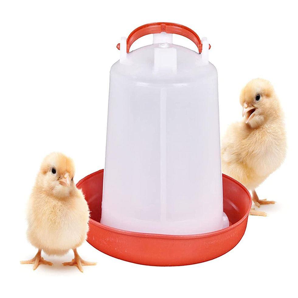Chicken Water Feeder Image