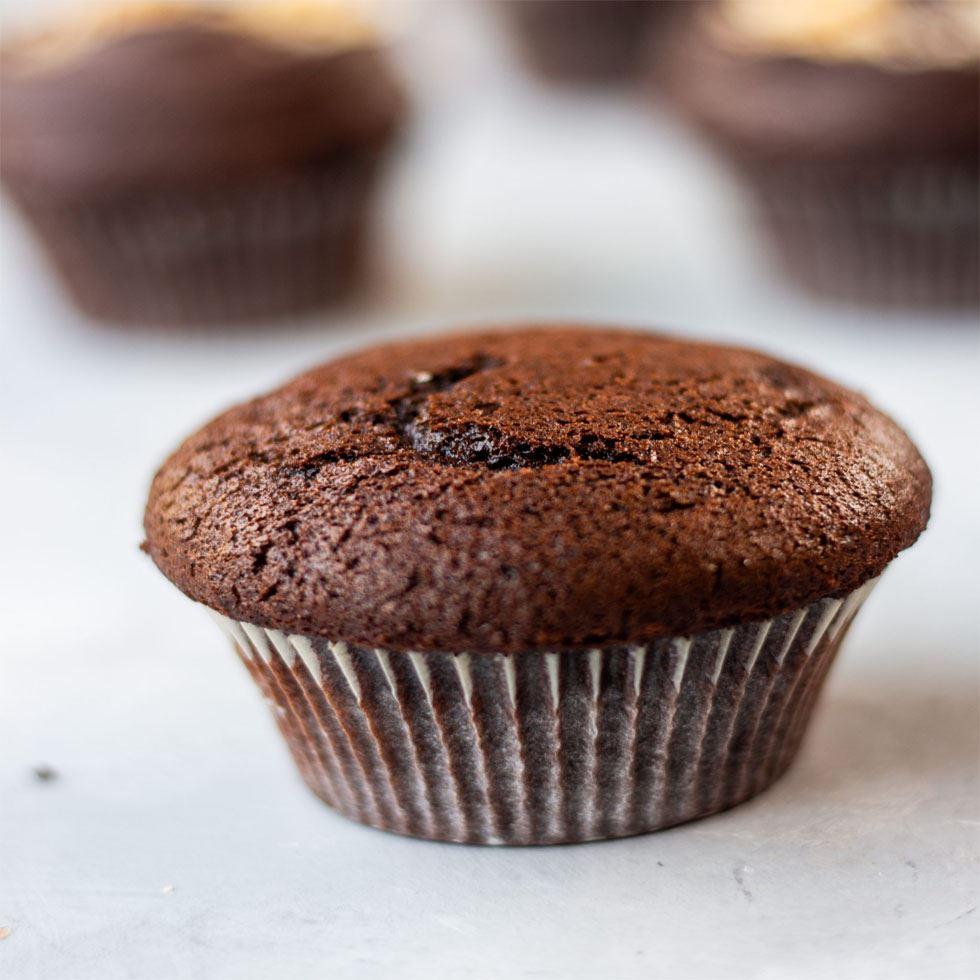 Chocolate Plain Cupcakes Image