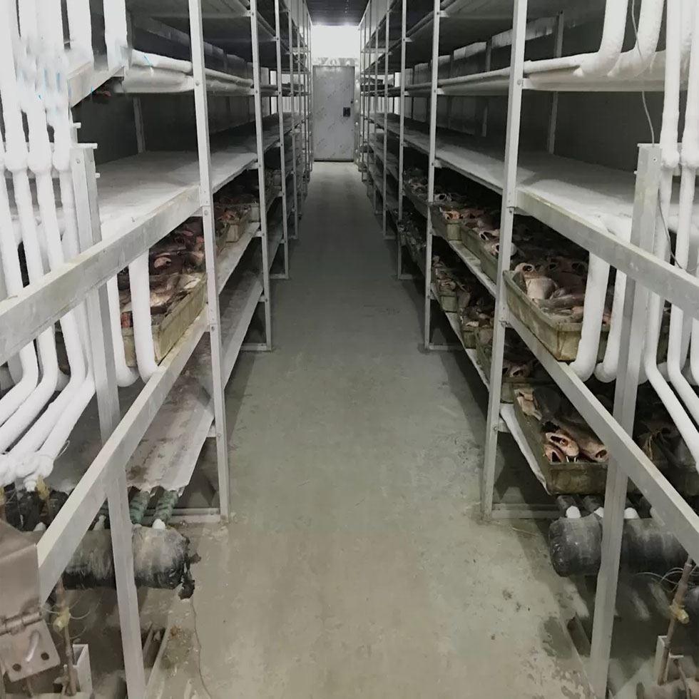 Commercial Meat Cold Room Image