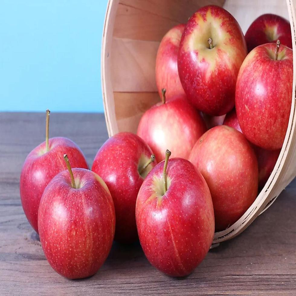 Commonly Fresh Apple Fruit Image