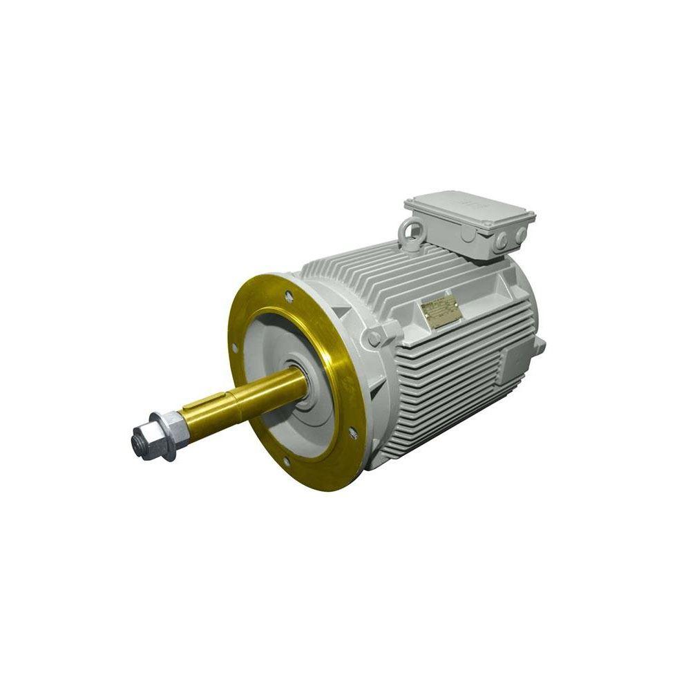 Cooling Tower Motors Image