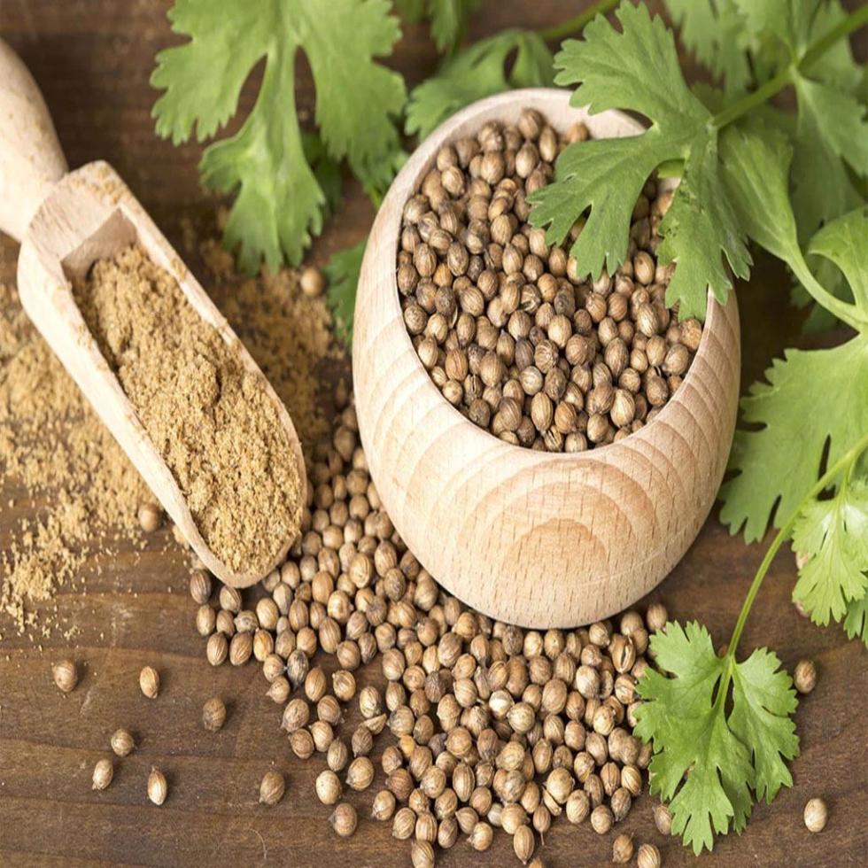 Coriander Natural Powder Image