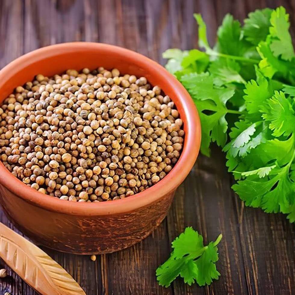 Coriander Organic Seeds Image