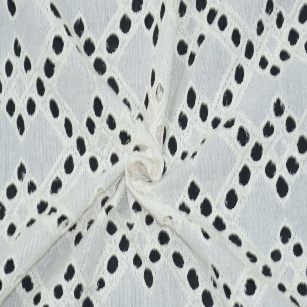 Cotton Schiffli Embroidery Fabric Image