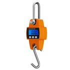 Crane Weighing Machine Image