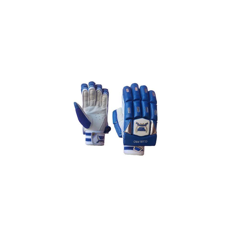 Cricket Sports Gloves Image