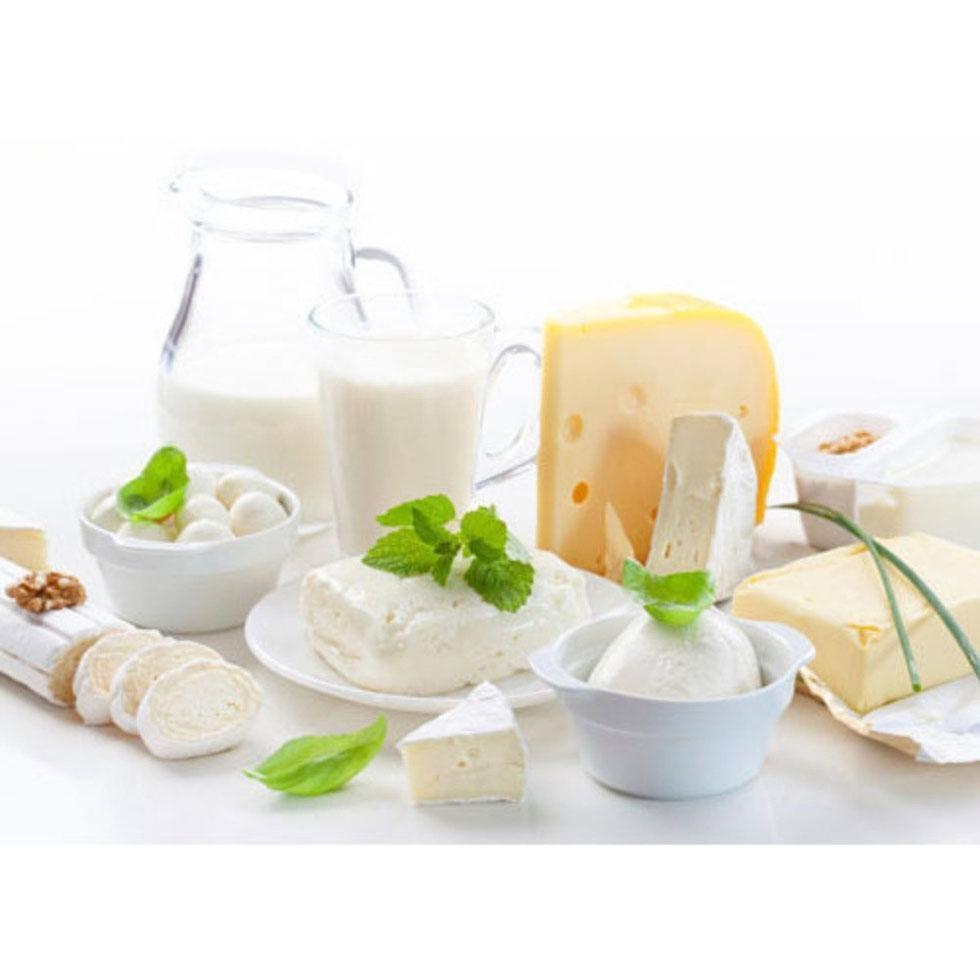 Dairy Products Testing Services Image