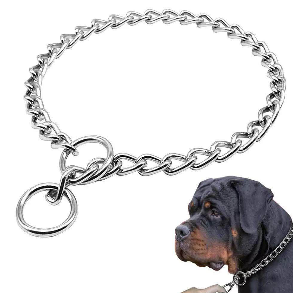 Dog Choke Chain Image