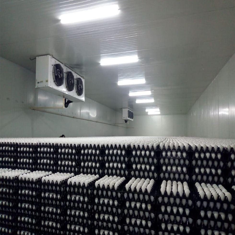 Egg Cold Room Image