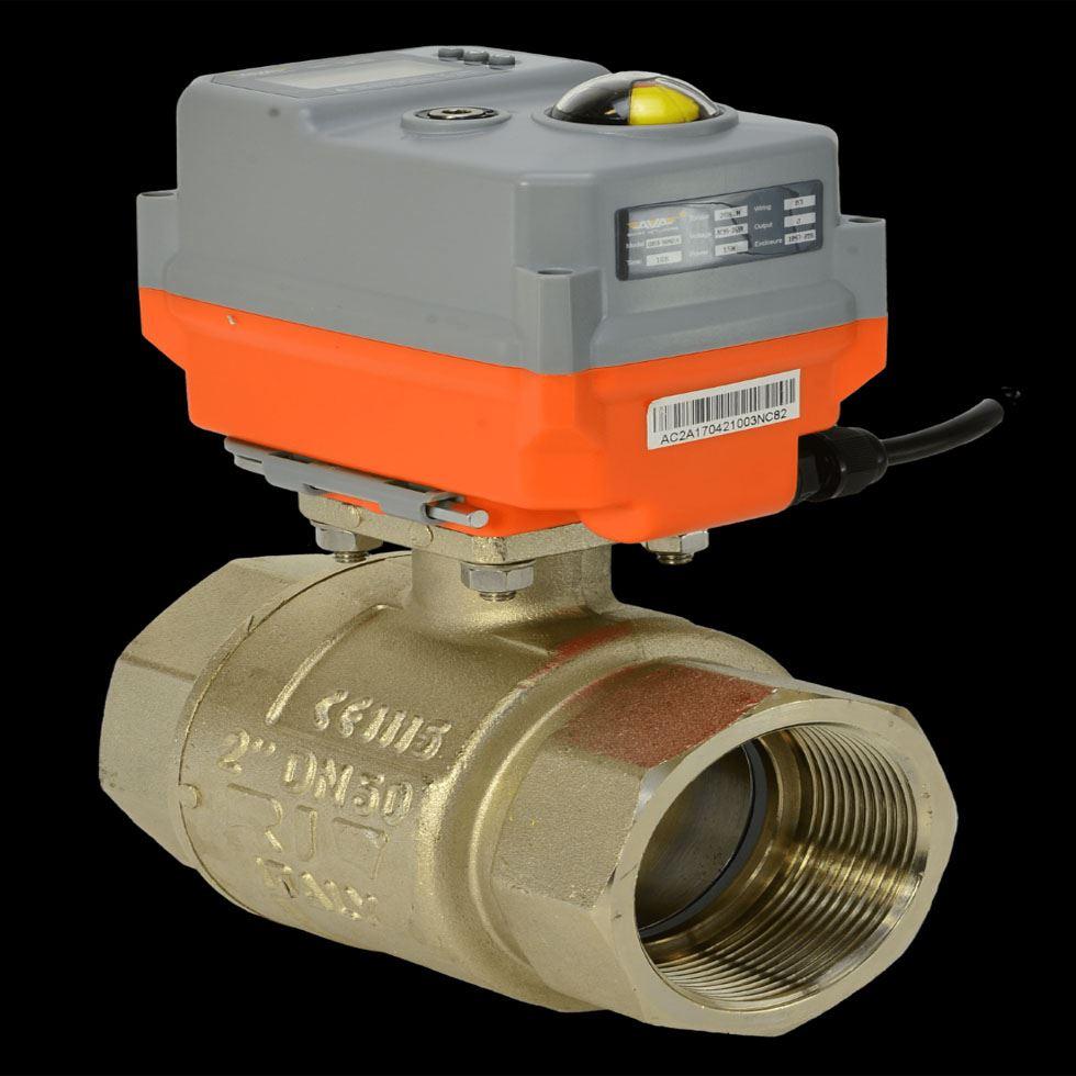 Electric Actuator Valve Image