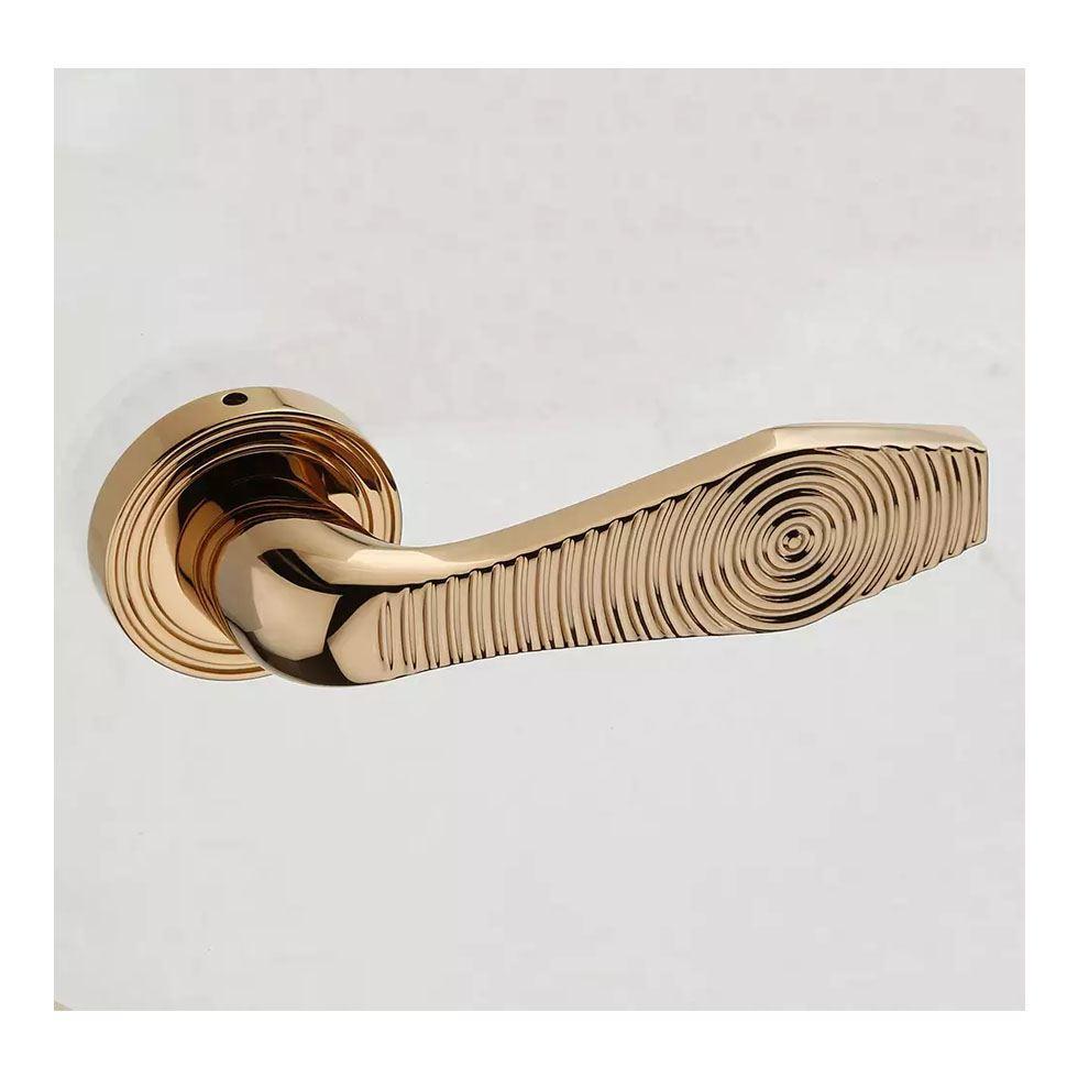 Elegant Door Handle Image