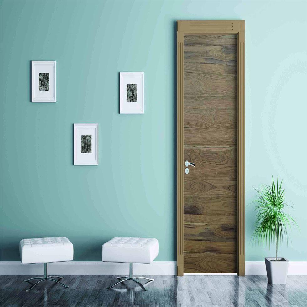 Elegant Door Skin Image