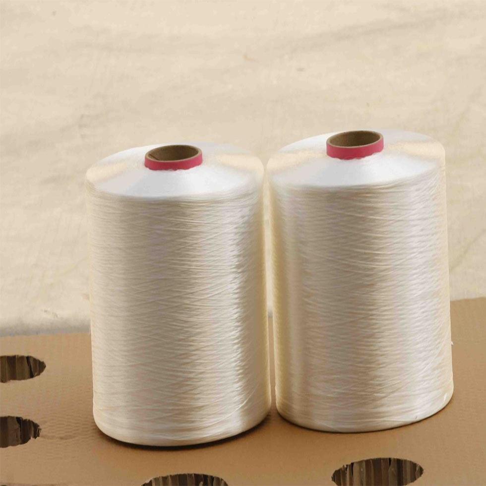 Filament Nylon Yarn Image