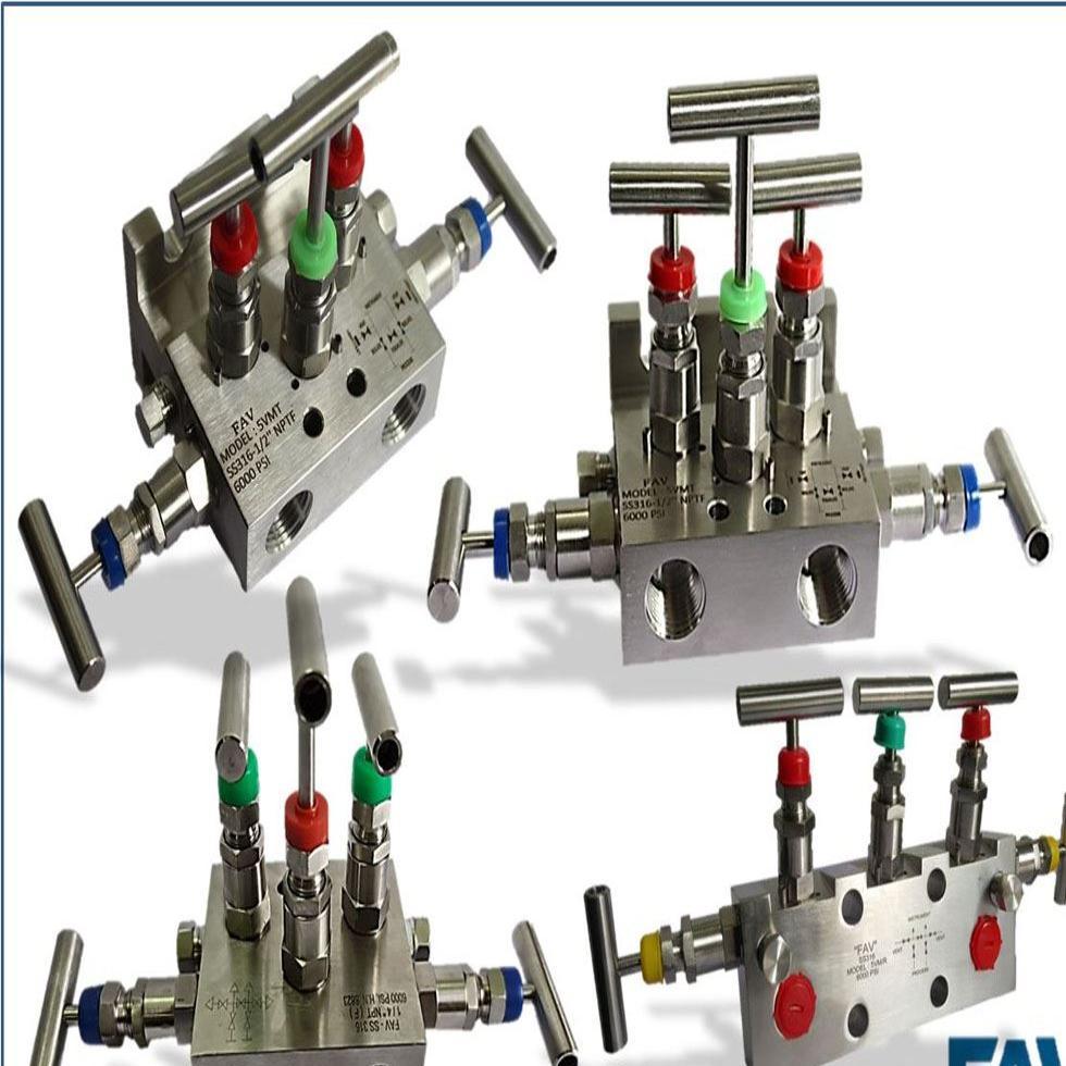 Five Way Valve Manifold Image