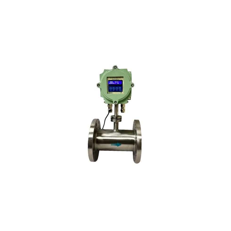 Flameproof Cng Flow Meter Image