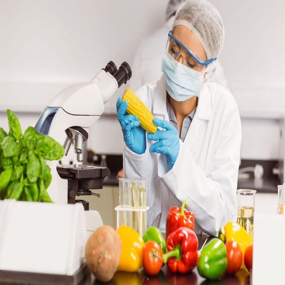 Food Testing Services Image