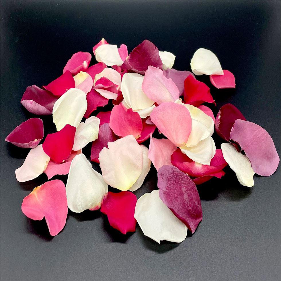 Freeze Rose Petals Image