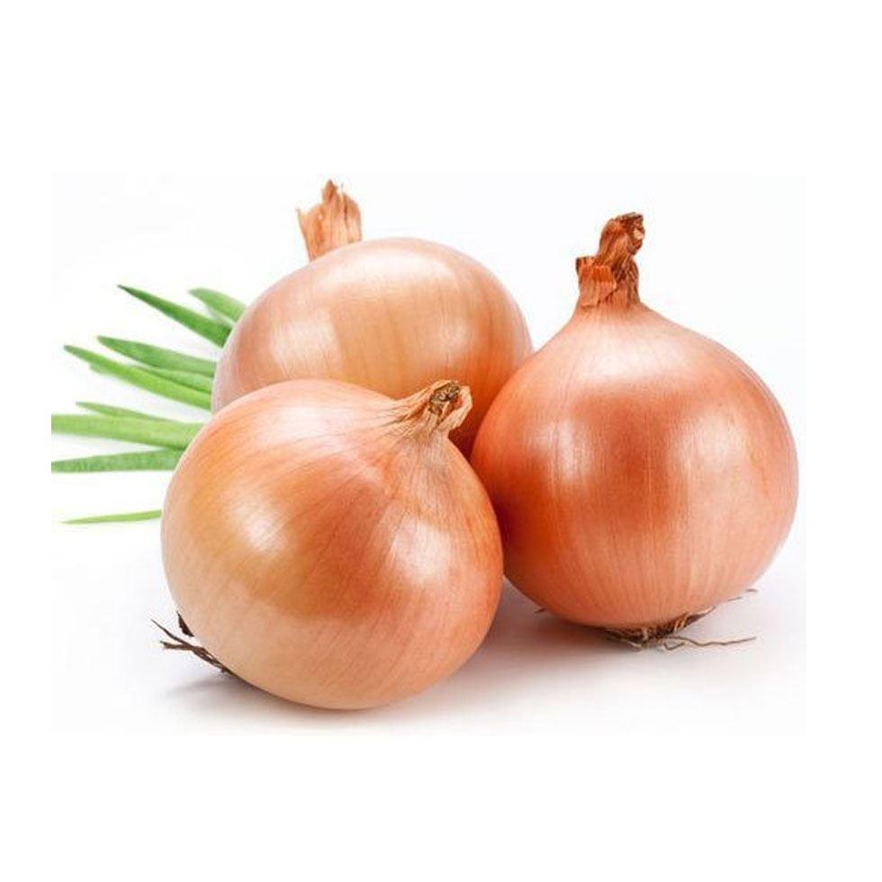 Fresh Brown Onion Image