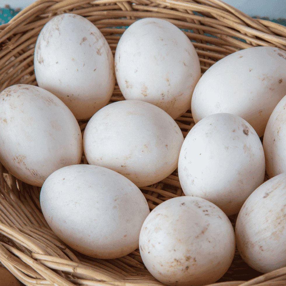 Fresh Country Duck Egg Image